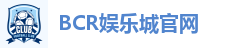 BCR娱乐城官网